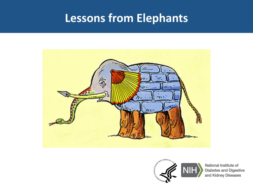 lessons from elephants