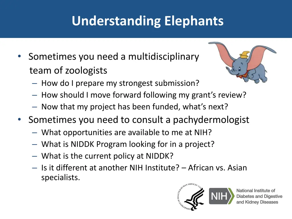understanding elephants