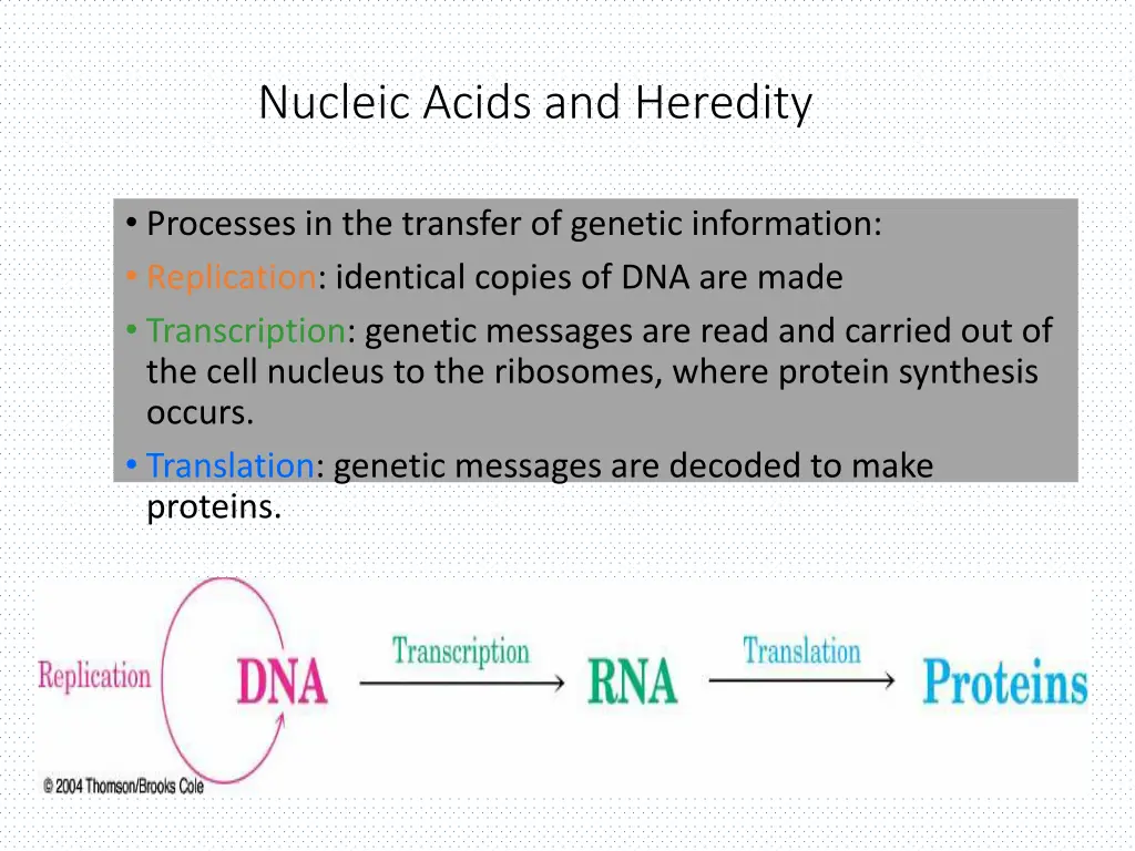 nucleic acids and heredity