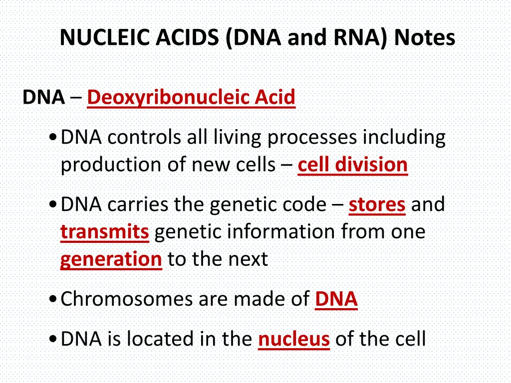 nucleic acids dna and rna notes