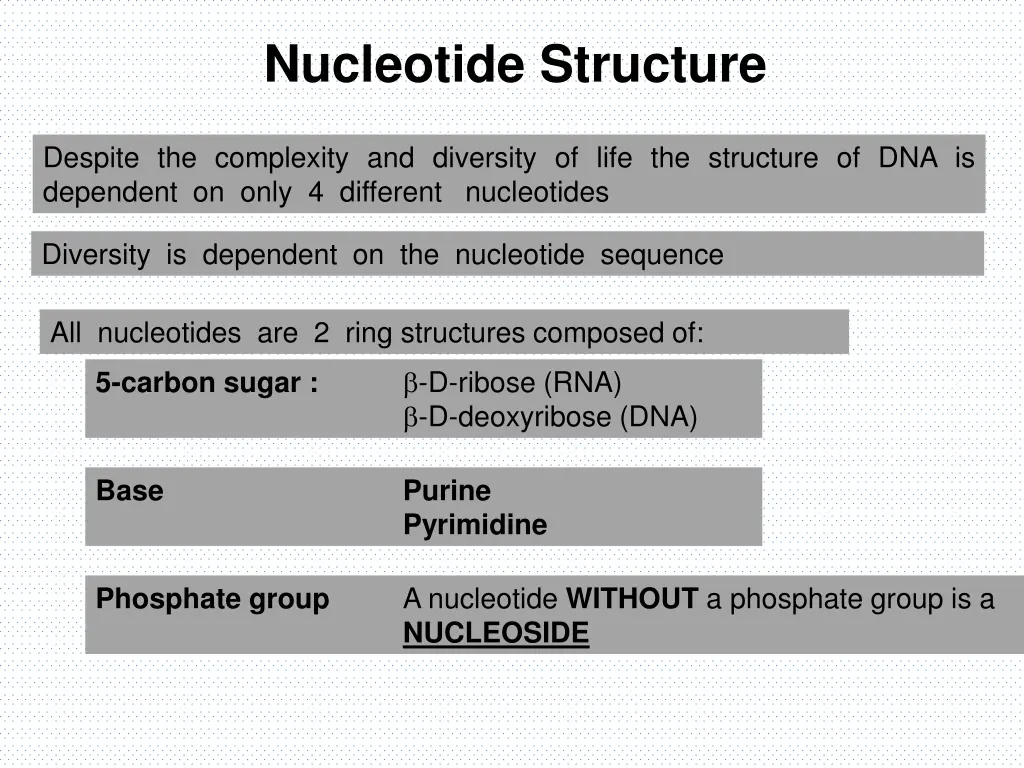 nucleotide structure