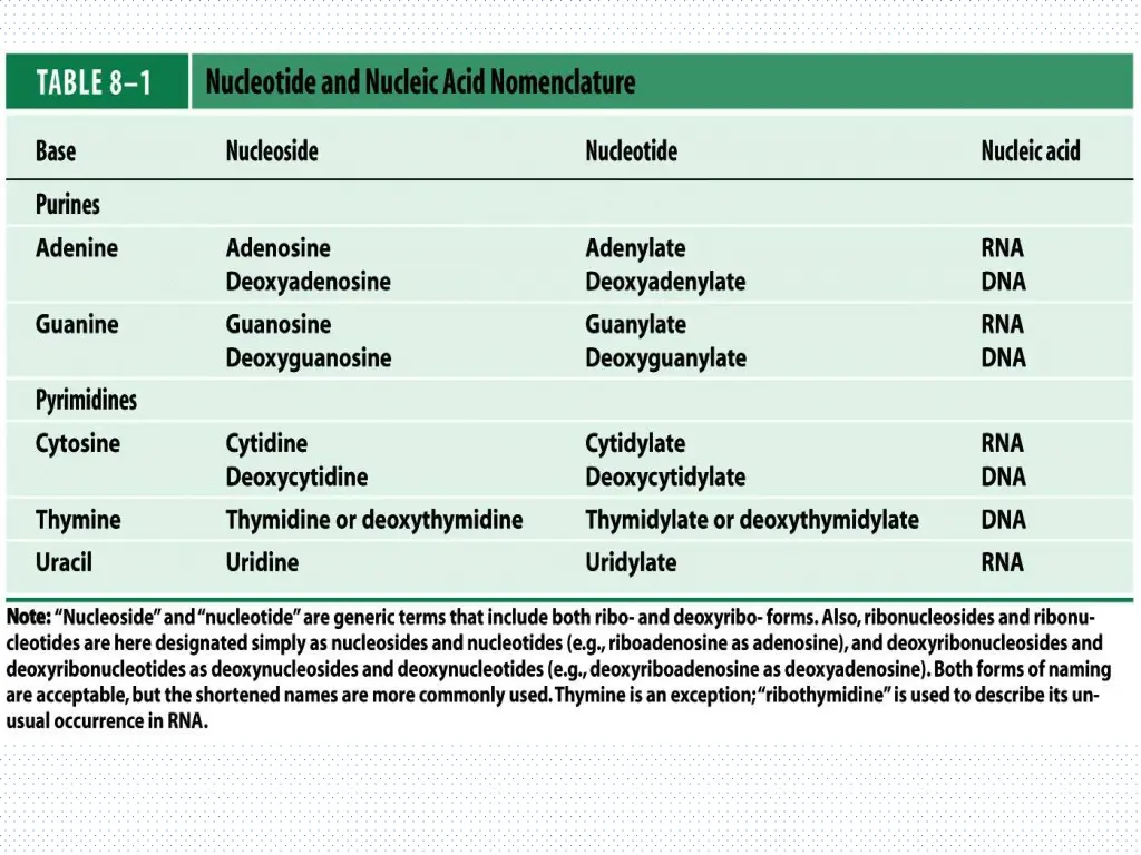 slide14