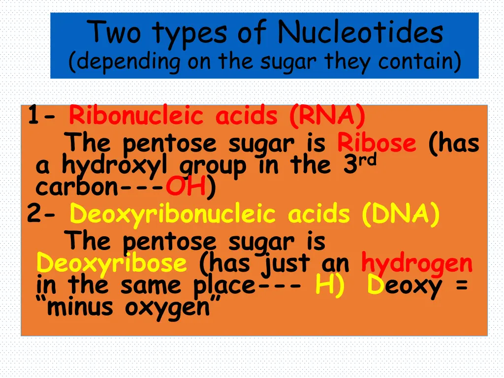 two types of nucleotides depending on the sugar
