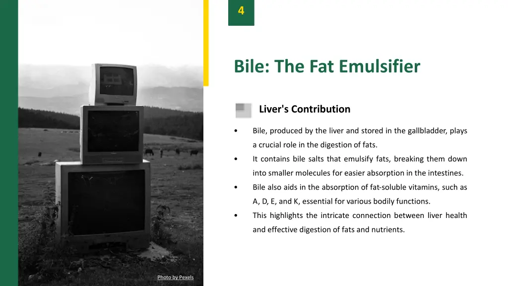slide6