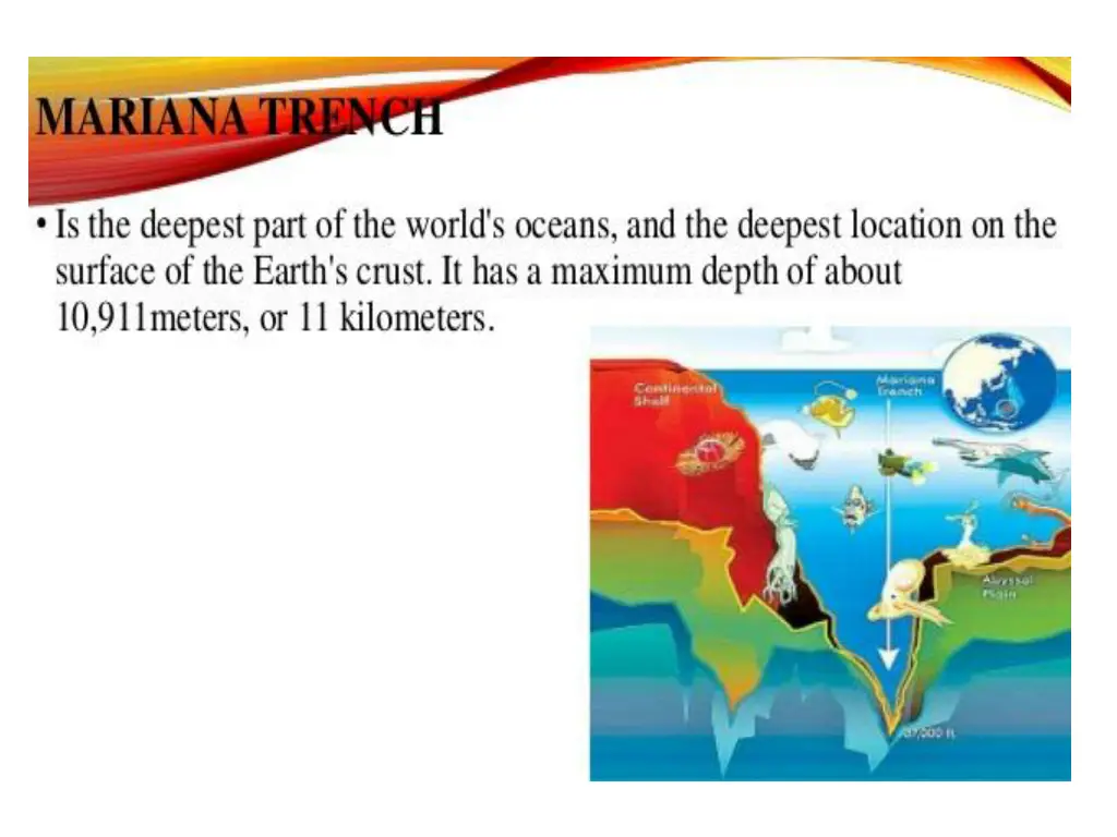 slide17