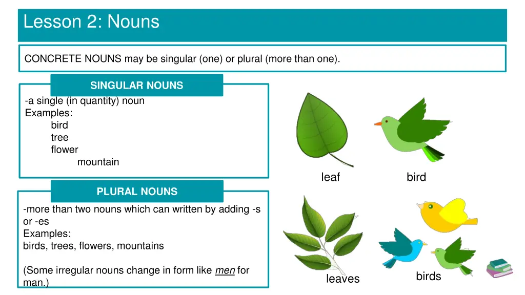 lesson 2 nouns 4