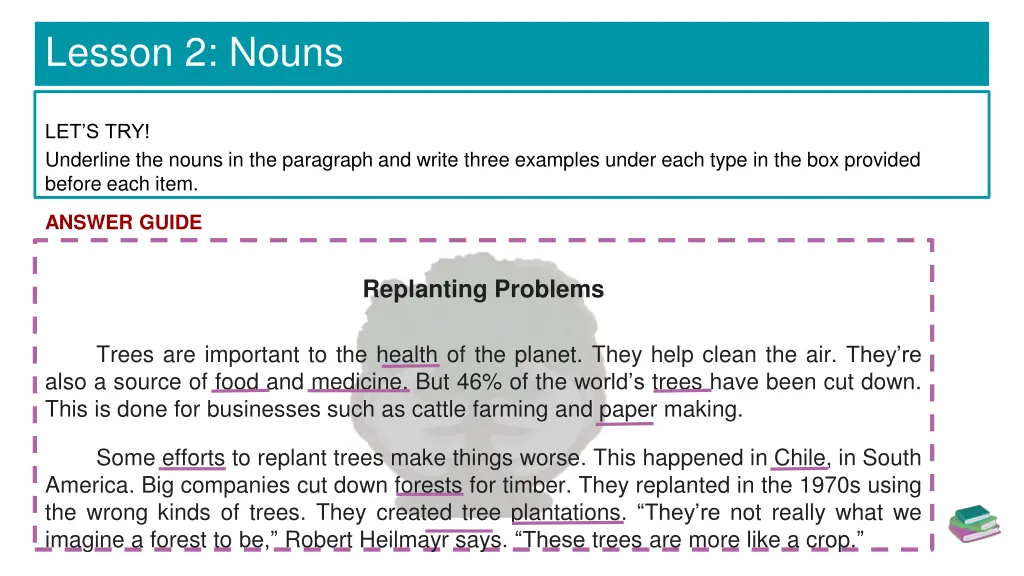 lesson 2 nouns 6