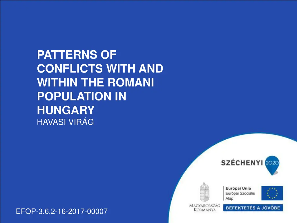 patterns of conflicts with and within the romani