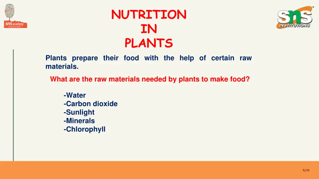 nutrition in plants