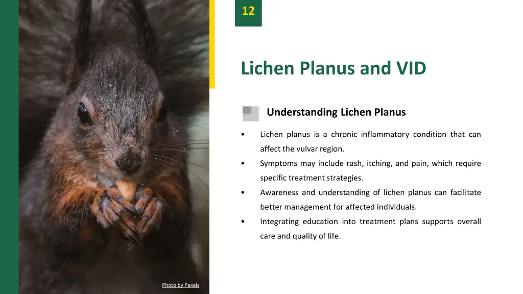 slide15