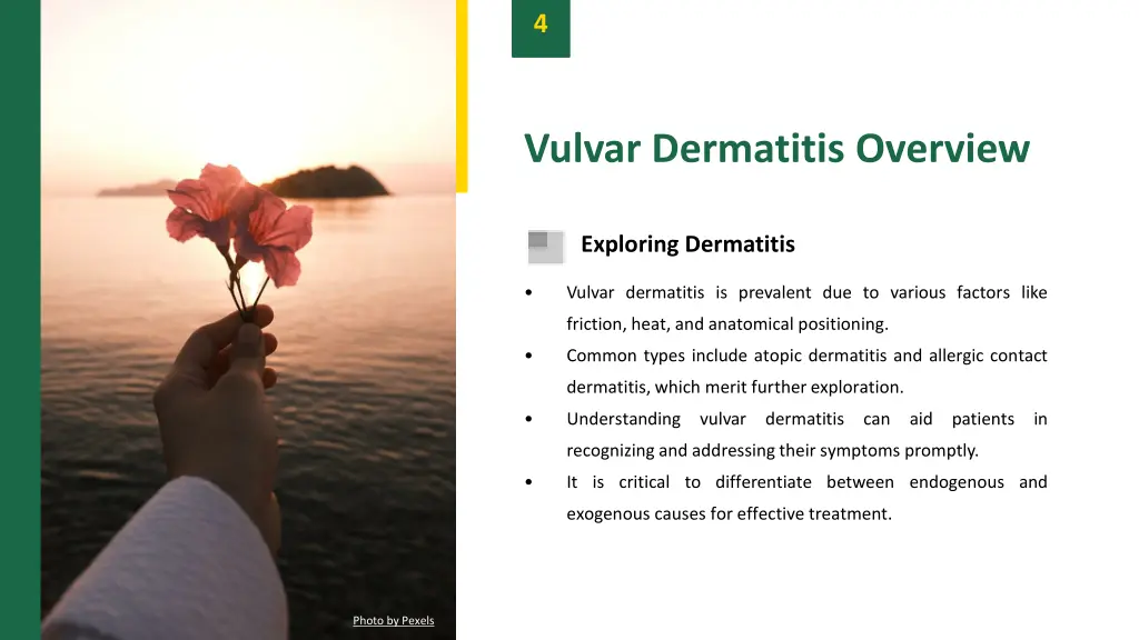 slide7
