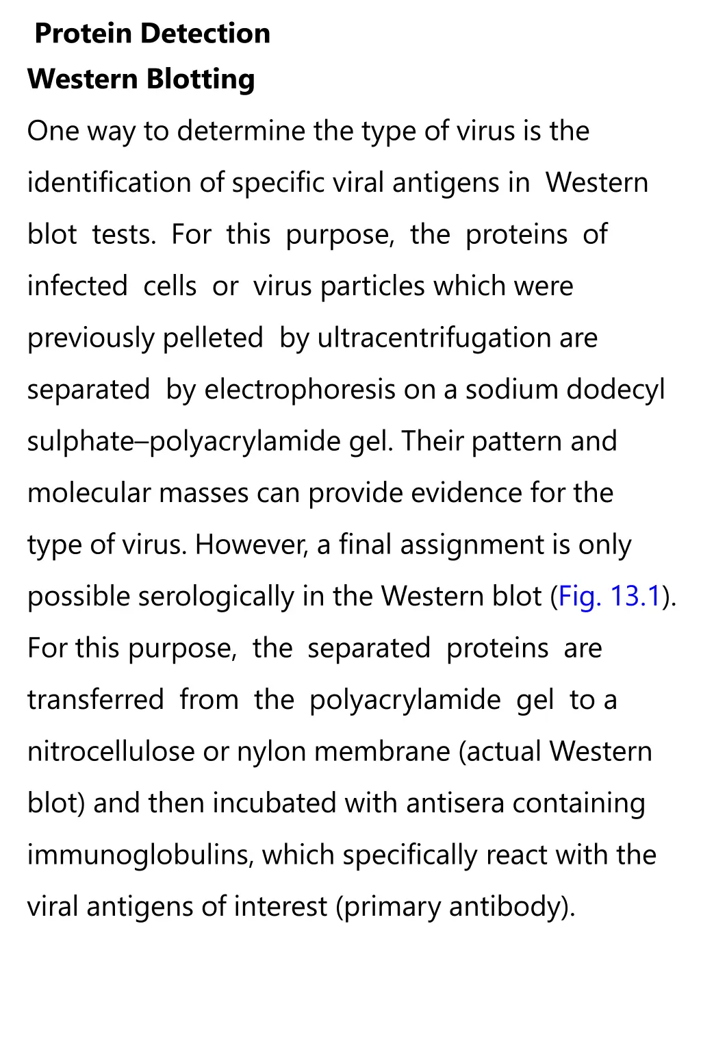 protein detection western blotting
