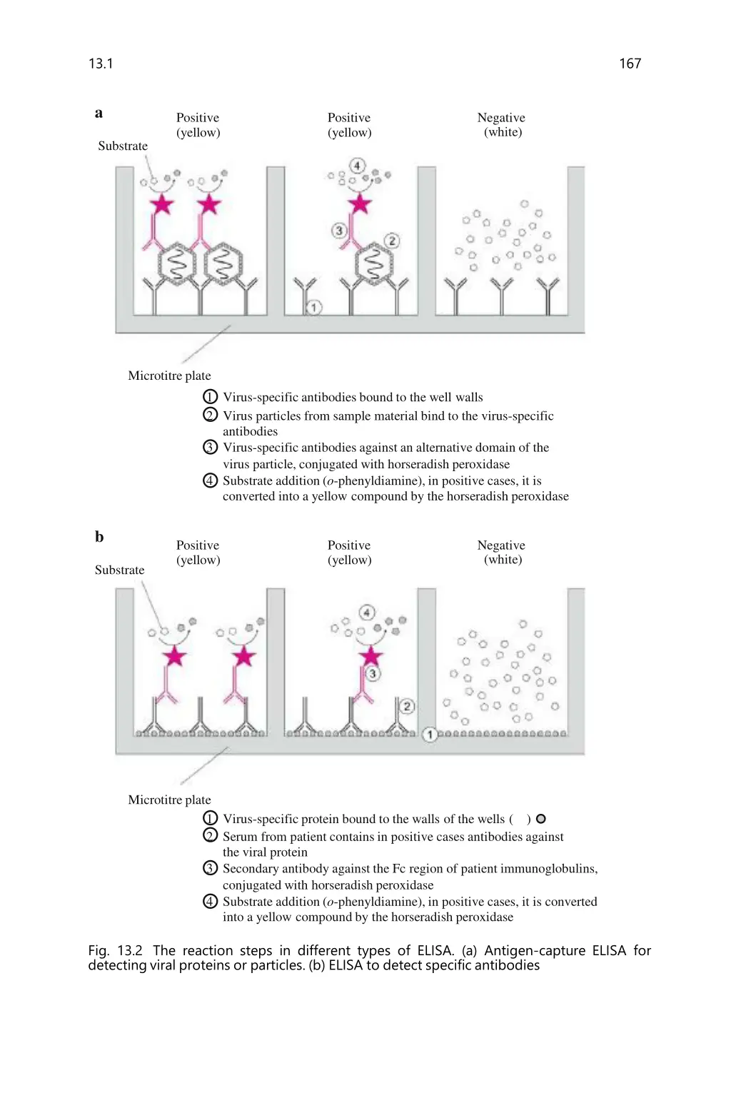 slide9