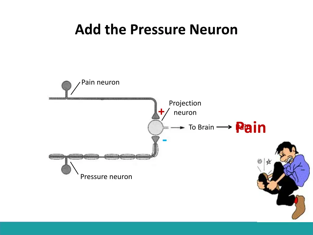 add the pressure neuron
