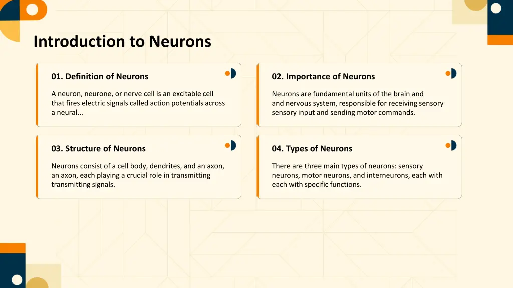 introduction to neurons