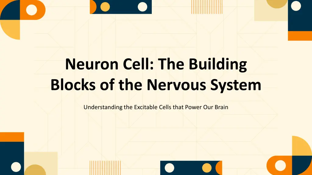 neuron cell the building blocks of the nervous