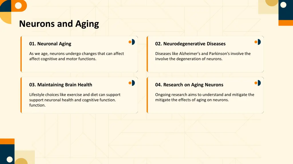 neurons and aging