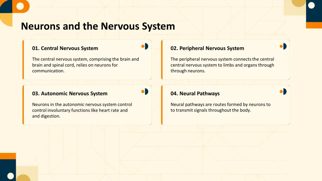 neurons and the nervous system