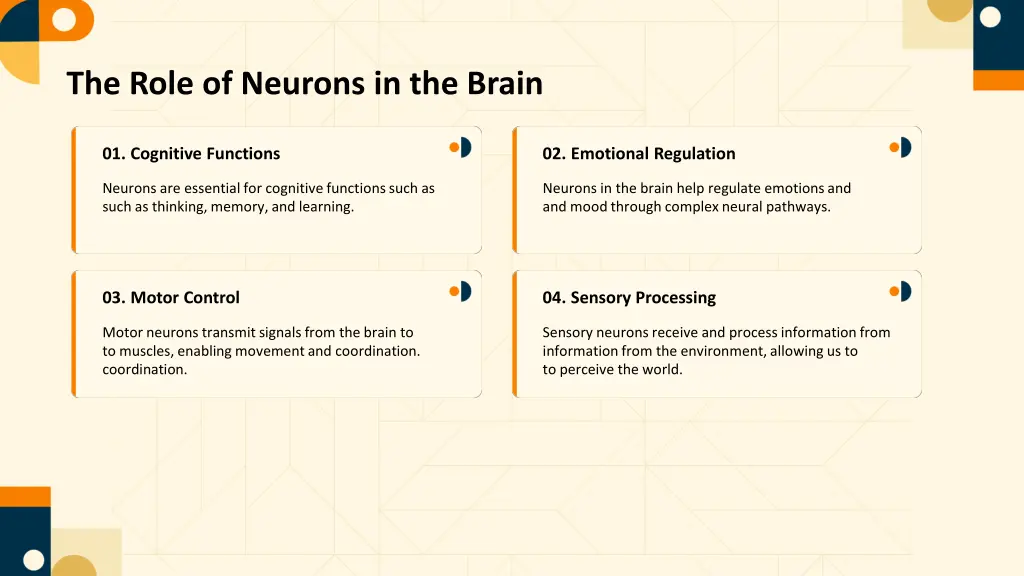 the role of neurons in the brain