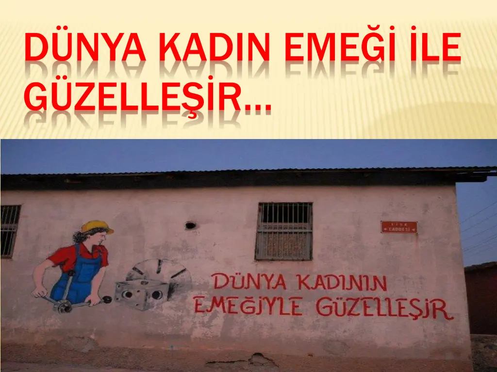 d nya kadin eme le g zelle r