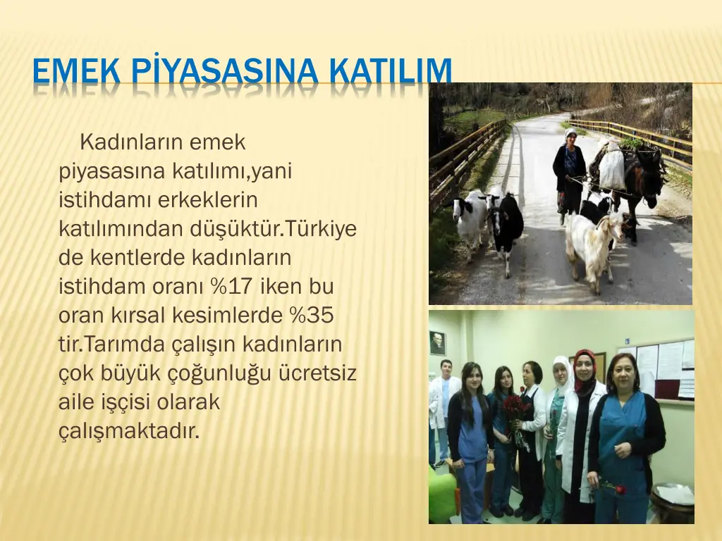emek p yasasina katilim