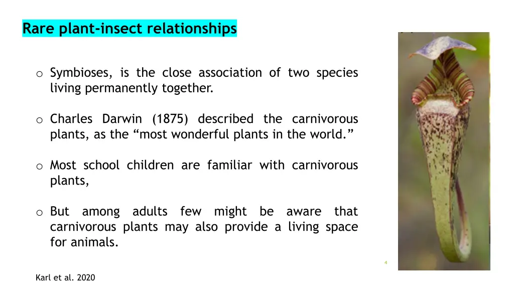 rare plant insect relationships 1