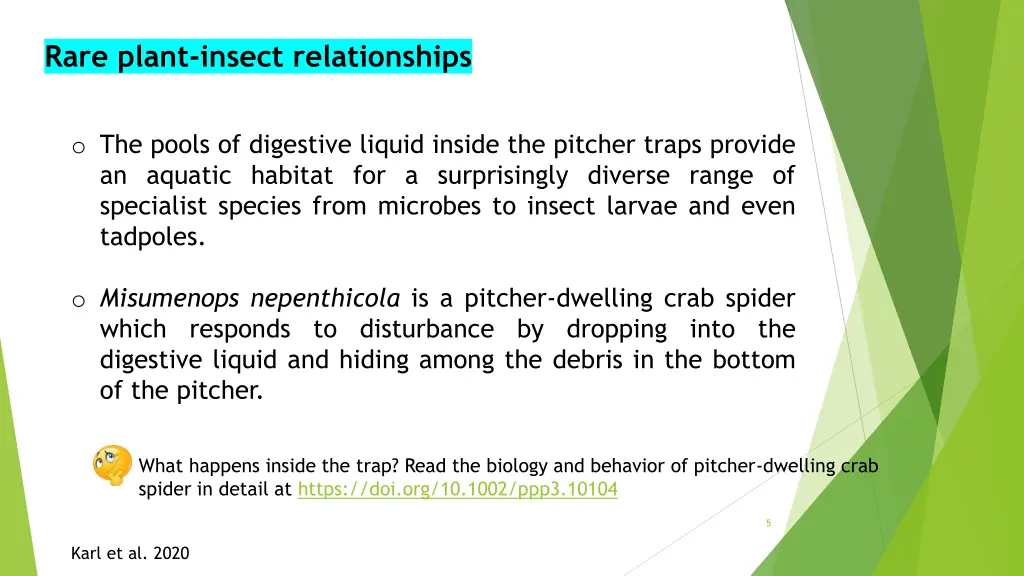 rare plant insect relationships 2