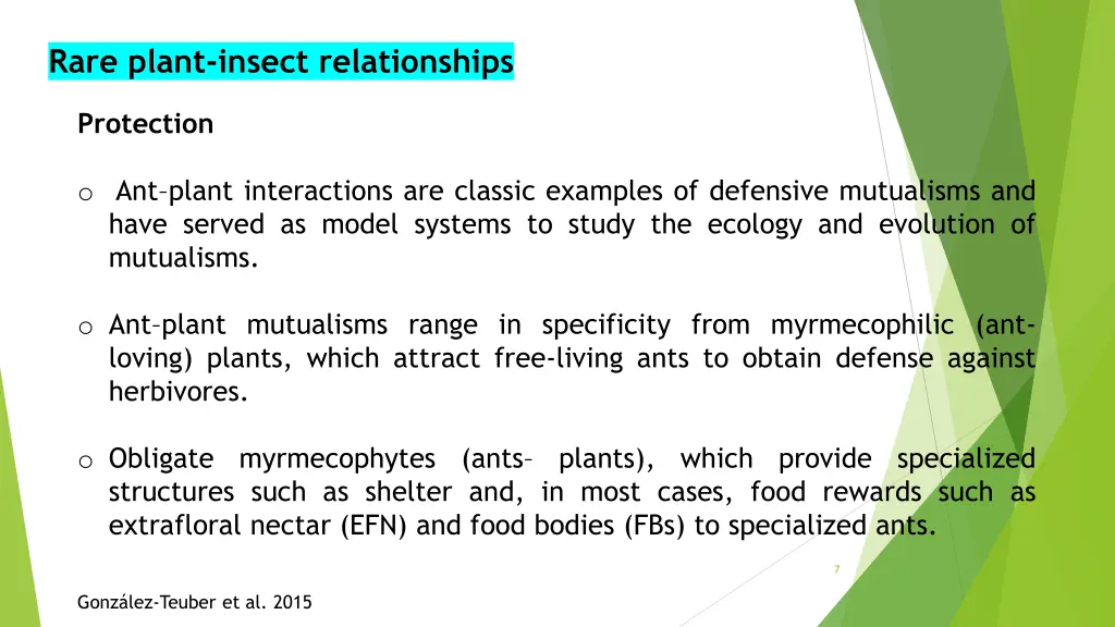 rare plant insect relationships 4