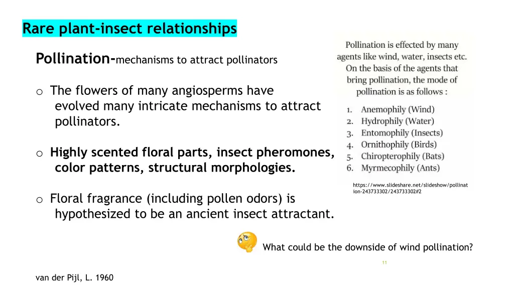 rare plant insect relationships 8