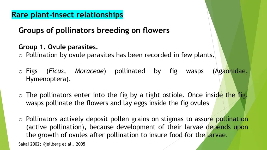 rare plant insect relationships 9