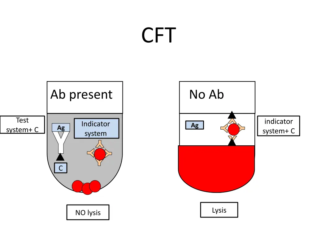 slide7