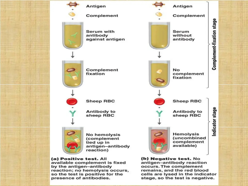 slide6