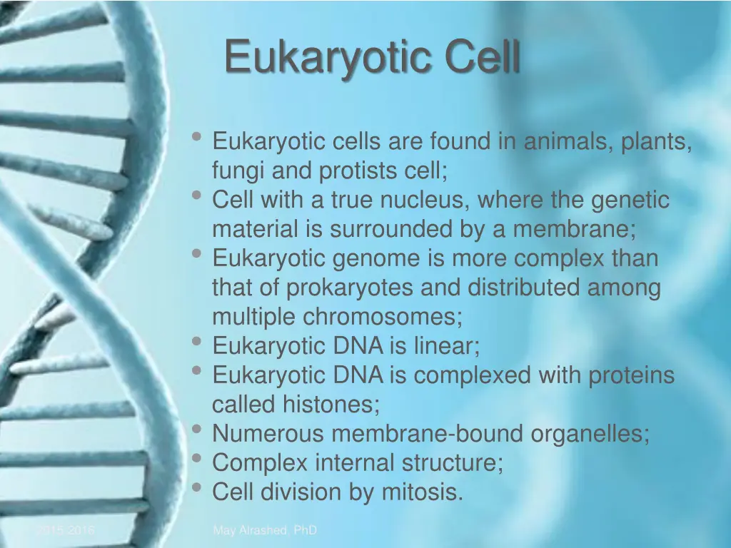 eukaryotic cell 1