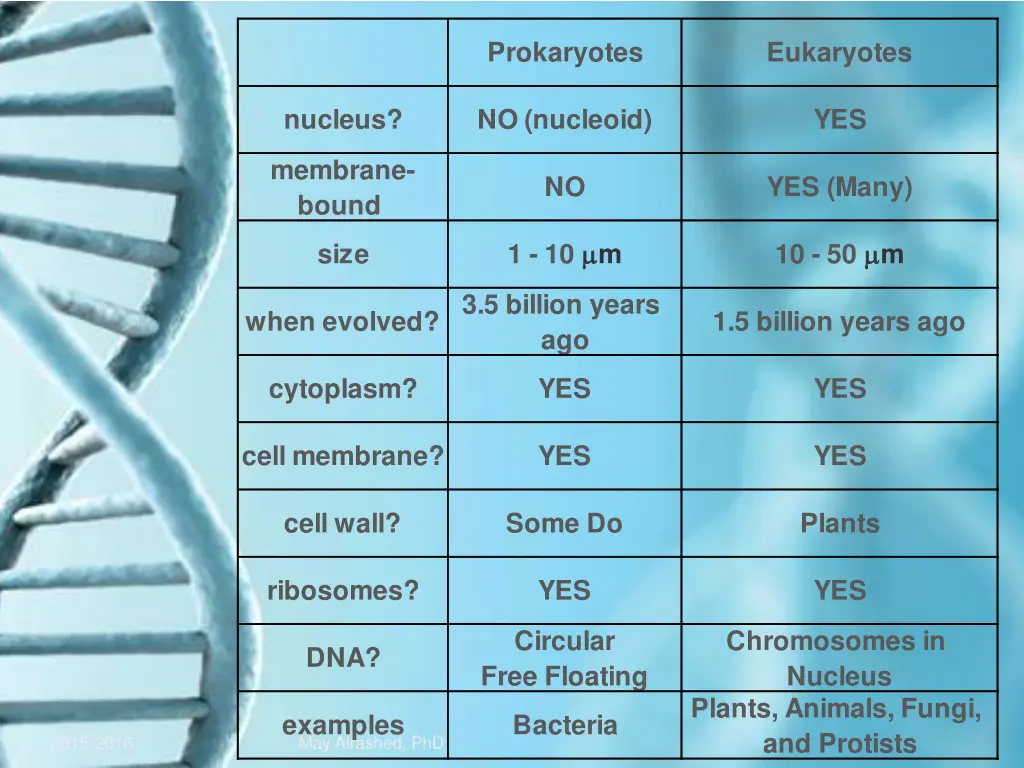 prokaryotes