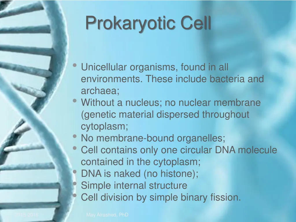 prokaryotic cell 1