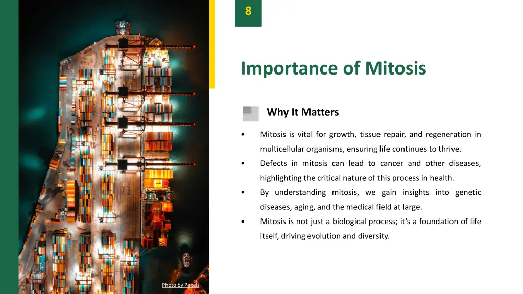 slide10