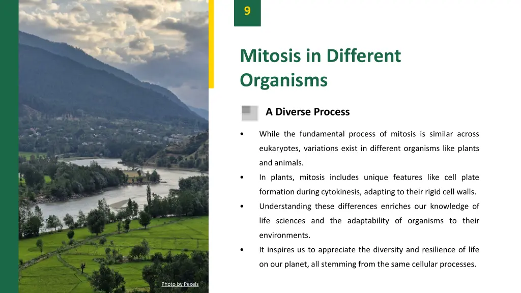 slide11