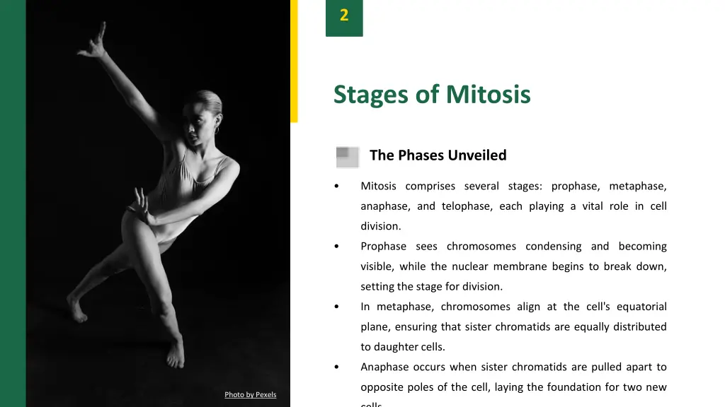 slide4
