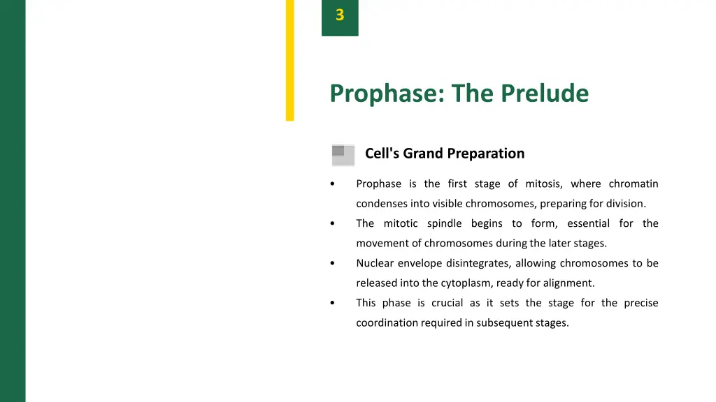 slide5