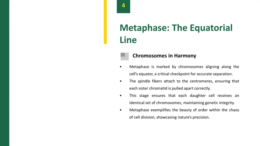 slide6