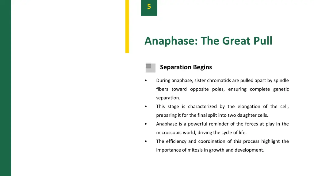 slide7