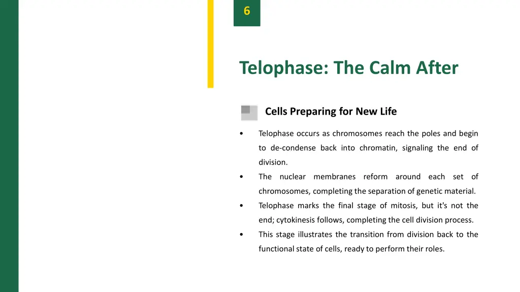slide8