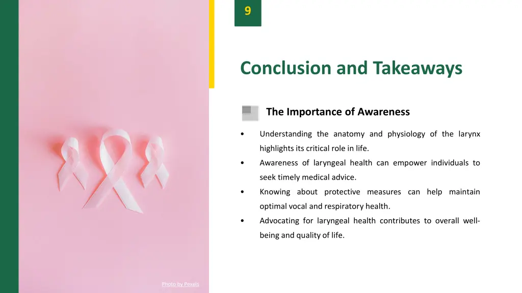 slide11