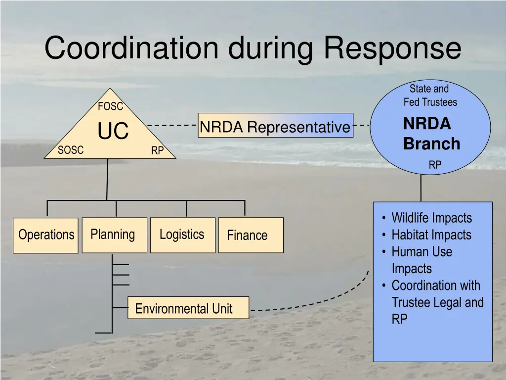 coordination during response