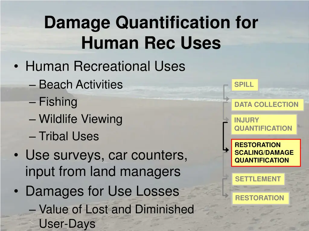 damage quantification for human rec uses human