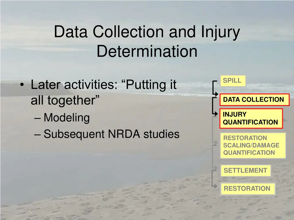 data collection and injury determination 1