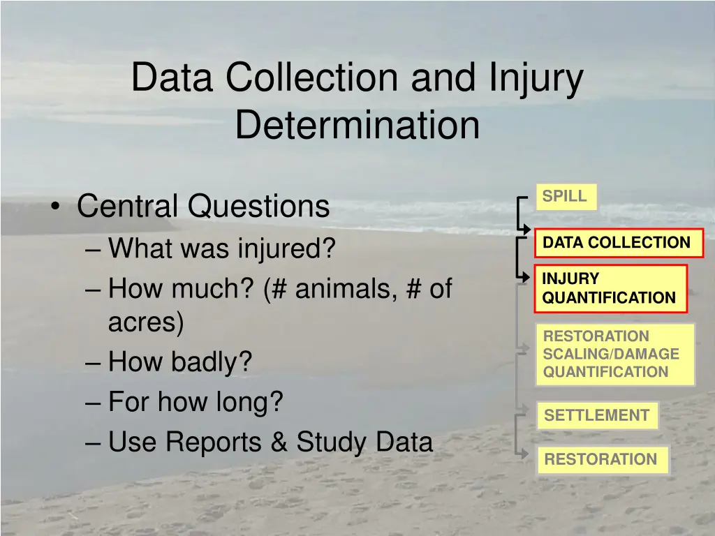 data collection and injury determination