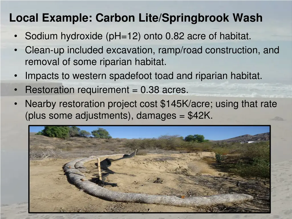 local example carbon lite springbrook wash