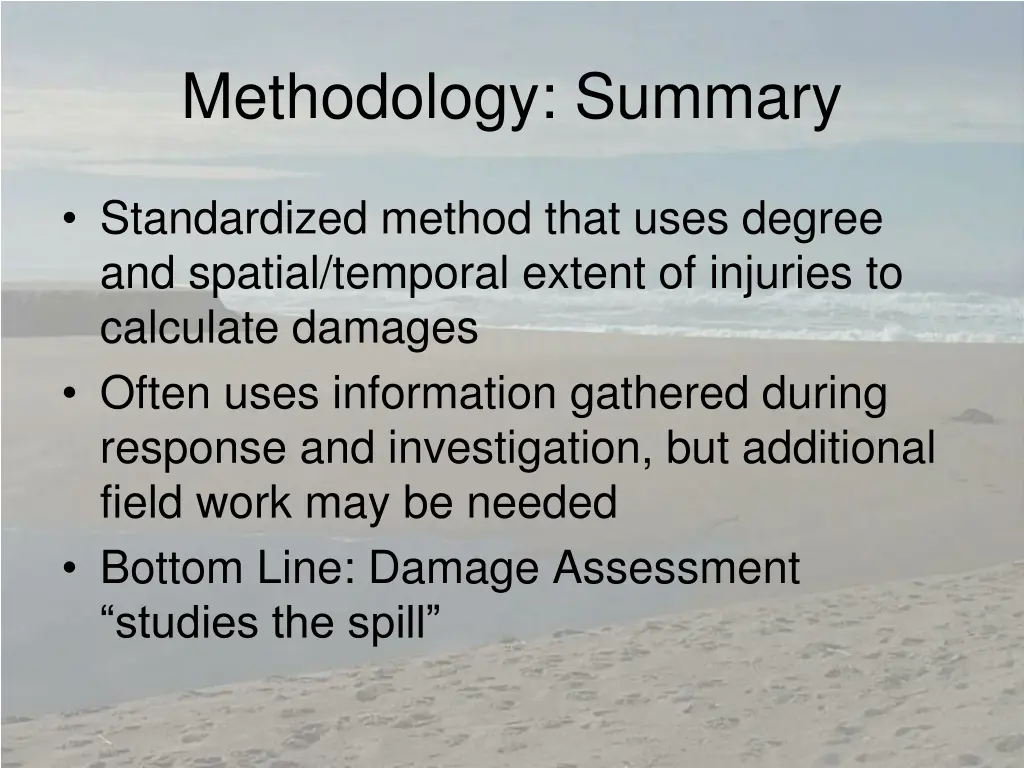 methodology summary