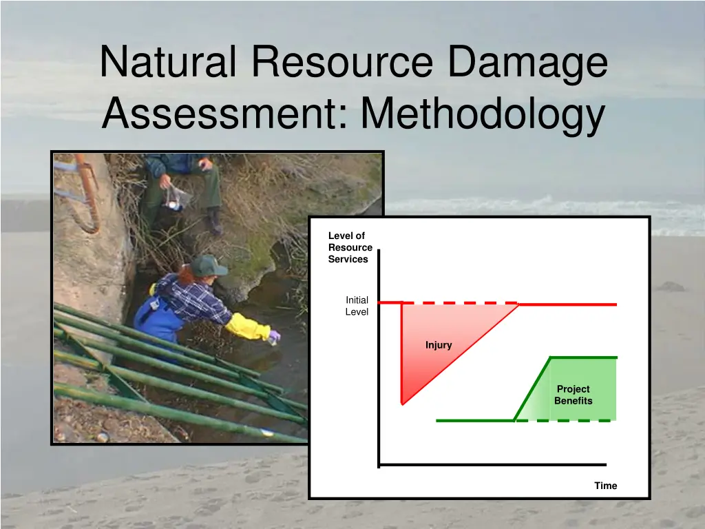 natural resource damage assessment methodology